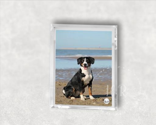 Buy & Sell Lincolnshire North Lincolnshire - Photos for Personalised Crystal Glass Pet Frame