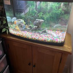 80 ltr fish tank with the stand/draw
and all accesories.