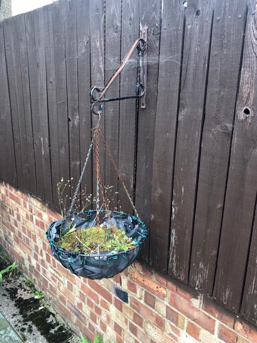 Buy & Sell Hertfordshire Watford - Photos for Hanging basket