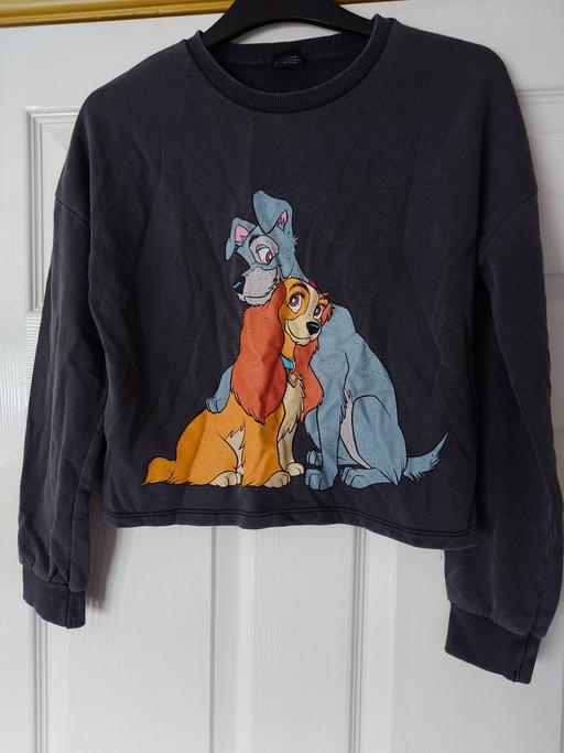 Buy & Sell Leicestershire Charnwood - Photos for Girls lady and the tramp jumper size 11/12Y