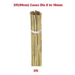 10 New Bamboo Canes brought the wrong size Only £4...I have 4 lots of these for sale

I Can Deliver if needed for a small fee to cover my diesel

Description

These bamboo poles are a natural way of helping in the garden, on the balcony or patio.

On one hand, they can be stuck into the ground & can be used to support climbing plants and flowers.

Can Be Used In Your Outdoor Or Indoor Decor.

Great For Supporting Potted Plants, Flower Border And Vegetables, including Tomatoes, Cucumbers, Peas And Courgettes, To Name A Few!

Bamboo Canes Also Support Knitted Bird Nets, Pea And Bean Netting, Garden Netting Etc.