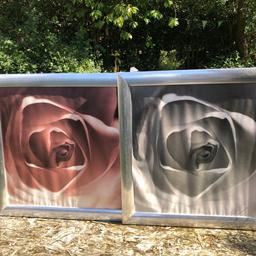 Large metal framed pictures. Two large 16x16 rosé pictures one in black and white the other coloured. Silver metal frames . Great set pictures .