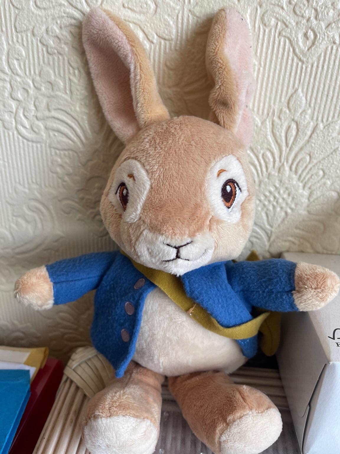 Talking Peter rabbit in WS10 Darlaston für £ 3,00 zum Verkauf | Shpock AT