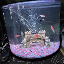 Fishtank set up , 
Only selling as no longer have the time for it ,
Lovely set up includes the following 
Gravel
External pump 
Multi coloured light 
Heater 
Air pump
Ornament
Fish 
Fully water tight still set up so can send video 
Doesn't come with stand 
It's 80/90 litres 
No time waters please 
Collection wv10 
Can deliver for fuel costs 
Any questions please ask 
60 pounds, no offers as these will be ignored.