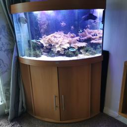Trigon 190 Great condition all ready for marine fish, but can be used for tropical fish too. 190 litre tank and unit with pump, heater, led lights, skimmer and instructions all included. Depth is 70cm and height is 131cm.