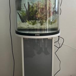 Terra Aquarium 60 l mit passendem Unterschrank. Inklusive Filter Heizstab und Sand.