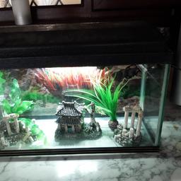 small fish tank with light and ornaments size w 18" h 10" (12" with hood) d 7" collection only Aston B6