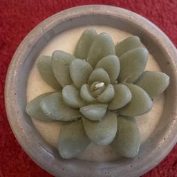 Large succulent shaped candle ,for the non green fingered person that likes plants