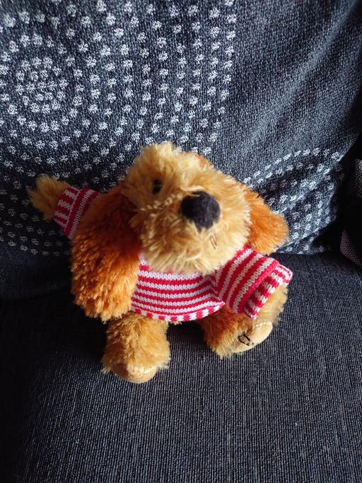 Buy & Sell Leicestershire Charnwood - Photos for Brown dog soft toy