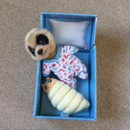 Baby Meerkat in Moses basket box with grub.
In excellent condition.
From a pet and smoke free home.
Collection only from LE17 4UY - Cash only please.