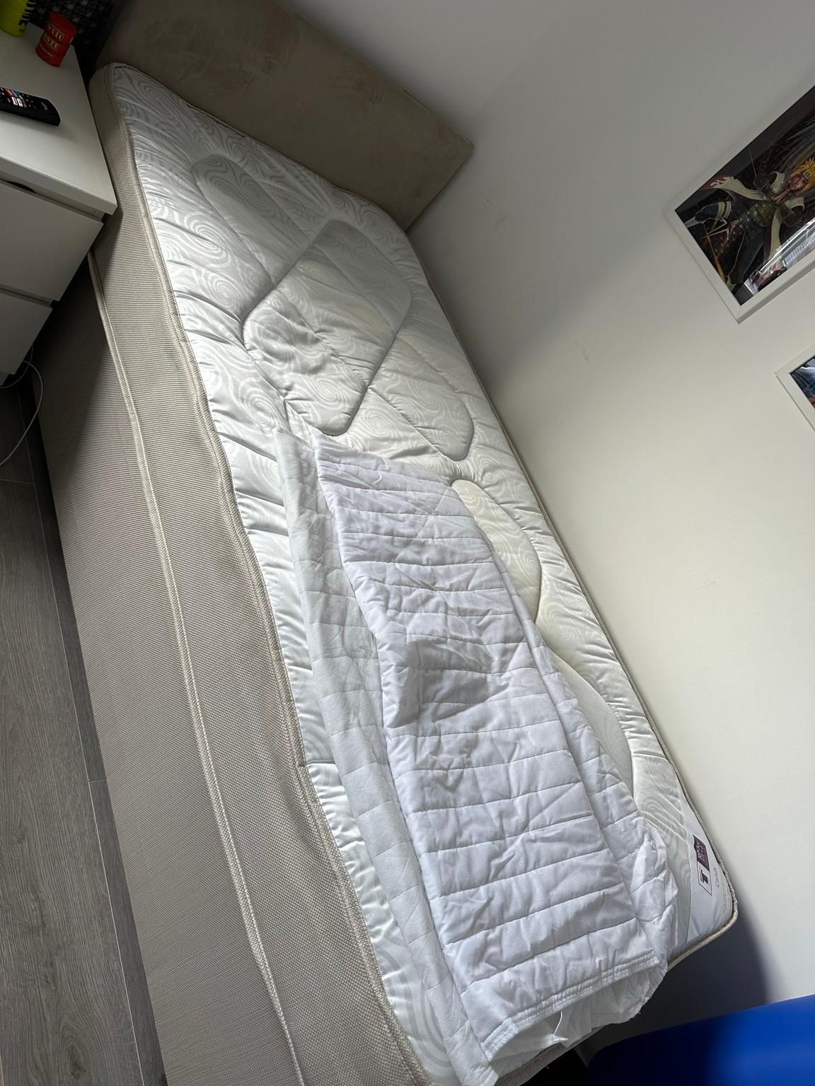 Divan single bed (with mattress if wanted) in WV14 Wolverhampton for £ ...