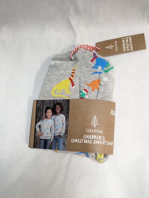 Buy & Sell West Midlands Dudley - Photos for New 5-6 Christmas dinosaur jumper