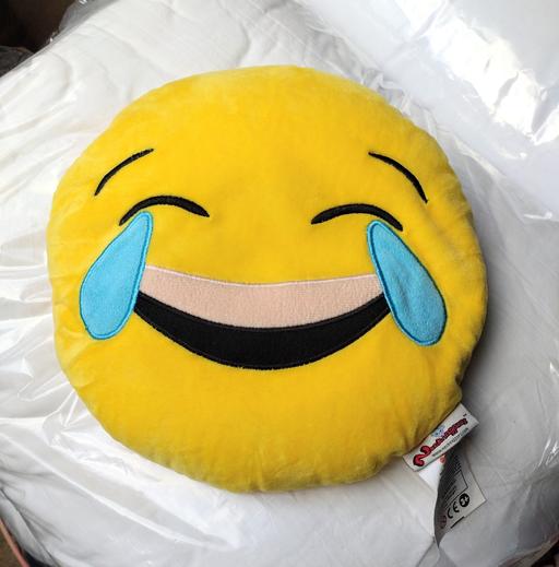 Buy & Sell Dorset Bournemouth, Christchurch and Poole - Photos for Emoji Necknapperz Cushion