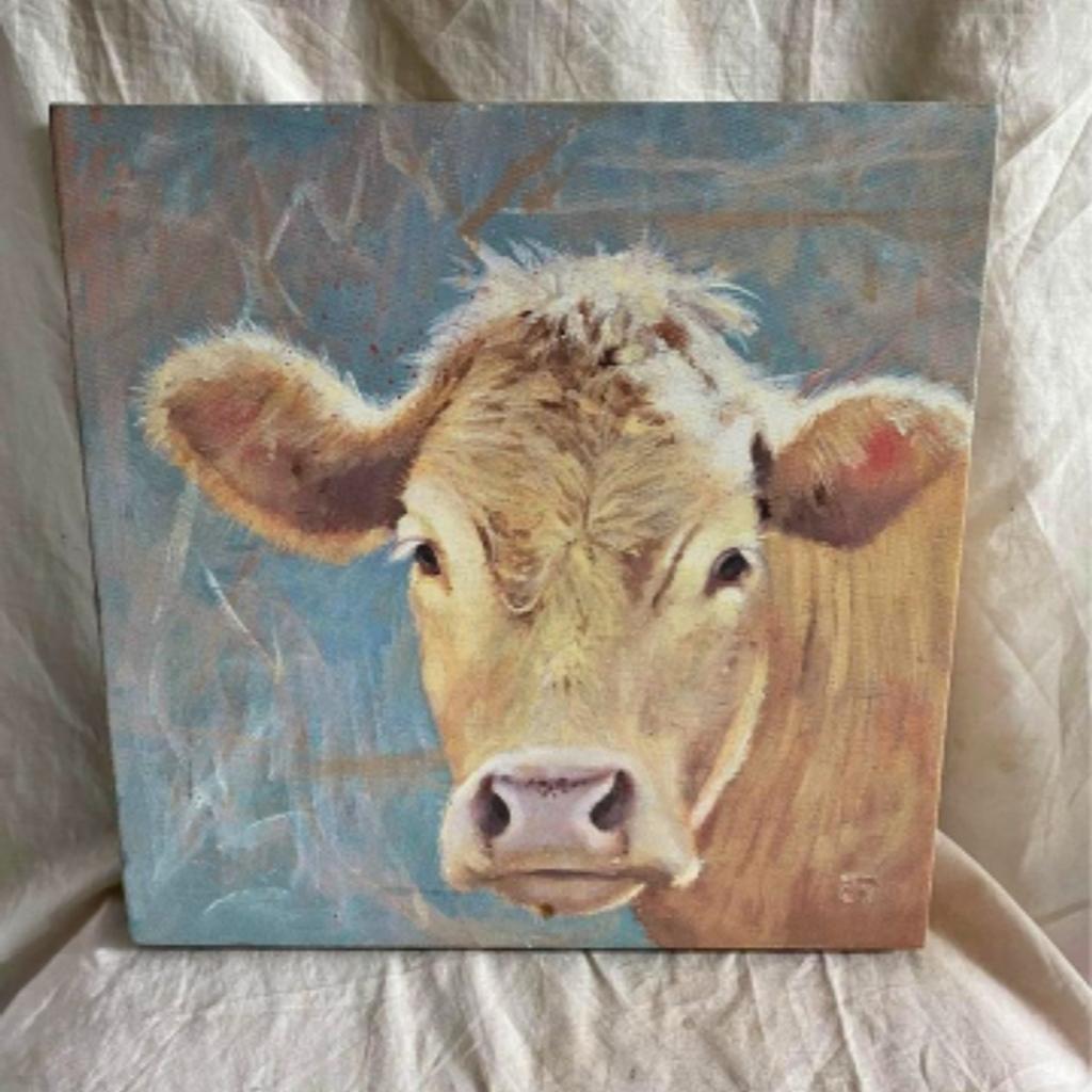 Cow Framed Canvas Print
30cm x 30cm x 4cm.
Collect from Shirley, Croydon
CR0 8BB South London.
Delivery  within 10 miles for agreed fee but outside London Congestion Zone.