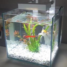 Acquario 150 litri in 22100 Como für 60,00 € zum Verkauf