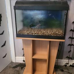 lovely fish tank with the stand , comes with gravel and back ground will need a new light collection wv10 7 40/50 litres