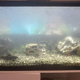 Aquarium mit Filter- Und Sauerstoffpumpe in 67346 Speyer für 90,00 € zum  Verkauf
