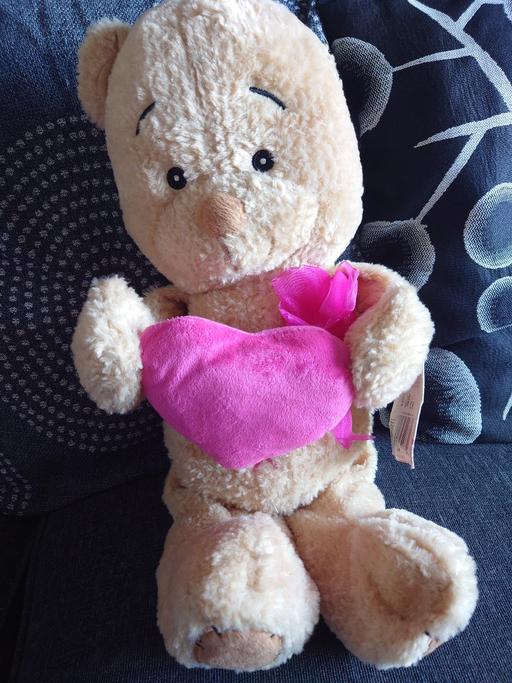 Buy & Sell Leicestershire Charnwood - Photos for Cuddle me bear soft toy