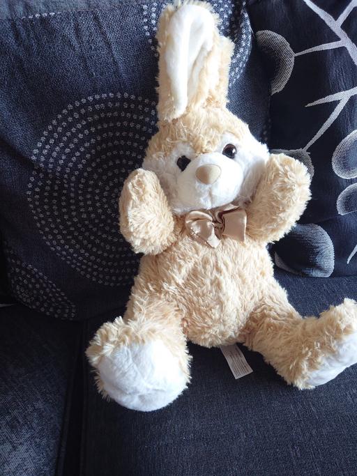 Buy & Sell Leicestershire Charnwood - Photos for Bunny rabbit soft toy