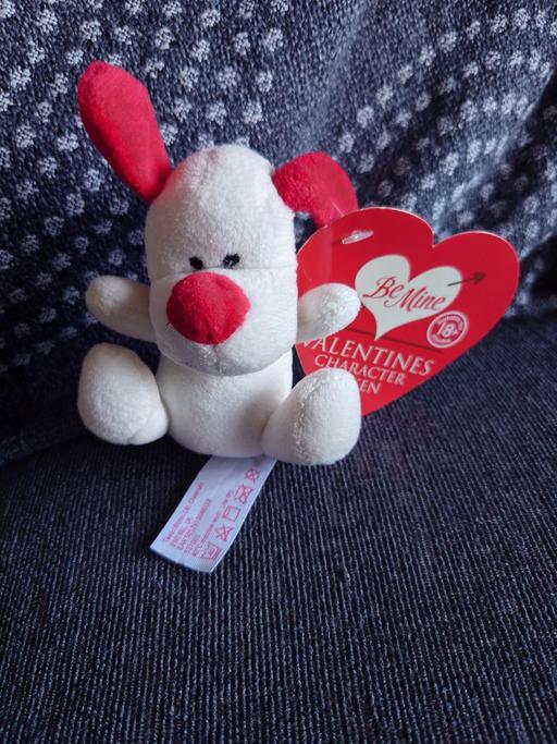 Buy & Sell Leicestershire Charnwood - Photos for Small valentine's dog soft toy