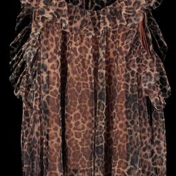 River Island Brown Leopard Print Mesh Detail Blouse Uk 8.

Local collection preferred but can be posted out at extra costs.