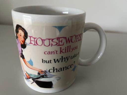 Buy & Sell North Yorkshire Harwood Dale - North Yorkshire - Photos for HOUSEWORK CAN'T KILL YOU MUG