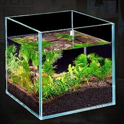 original verpacktes hochwertiges Aquarium

leider für meinen Zweck zu groß

Maße: 25 x 25 x 25 cm


nur das Glas ohne Abdeckung oder sonstigem Zubehör !!!


NP: € 89,00