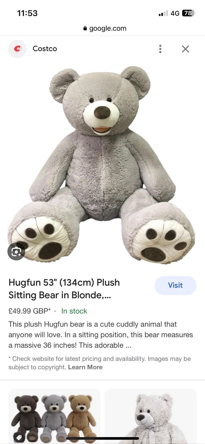 Hugfun extra large teddy bear in L24 Liverpool für 15,00 £ zum Verkauf ...