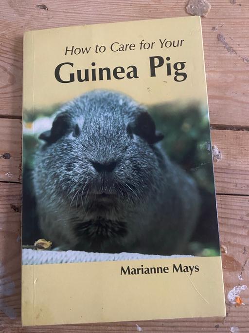 Buy & Sell Lancashire Blackpool - Photos for How To Care For Your Guinea Pig book