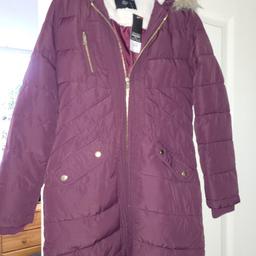 bnwt size 10 coat from dorothy perkins purple/burgundyrrp £60