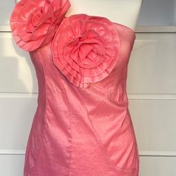 ICE Brand
Coral Pink 
Flower Detail 
One Shoulder Dress 
Hook Eye & Zip Fastening
Size L
Great Condition