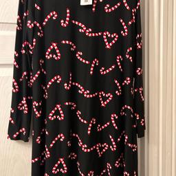 Brand new with tag Christmas dress size 14