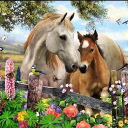 ❌❌ Diamond Paintings Reduced to £4.00 for the month of April whilst stocks last ❌❌


Horses Diamond Painting Kits £4.50 each. Collection from either Coundon or Bishop Auckland