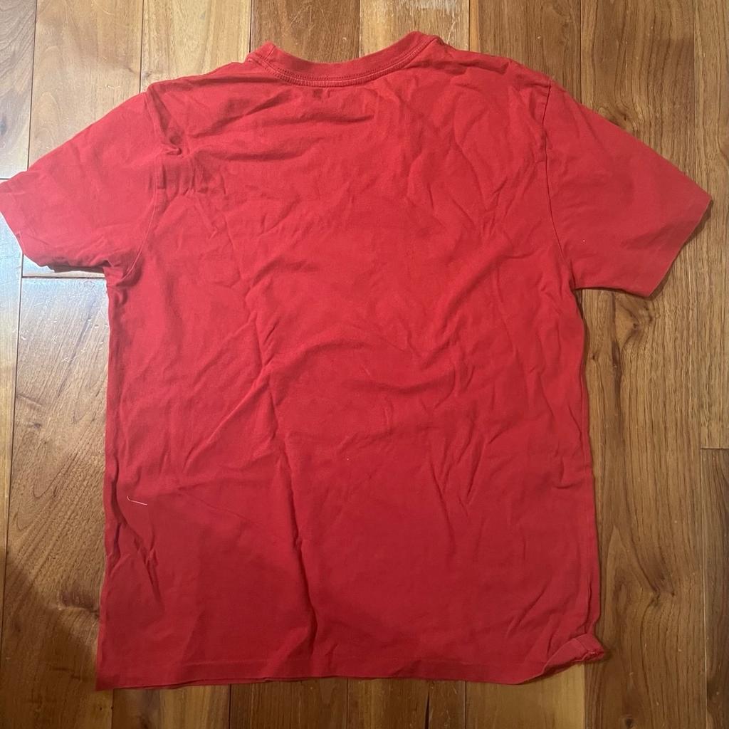 Polo by Ralph Lauren T-shirt
Young Adult size: L
Chest size: 36”
Like New
Beautiful designed T-shirt