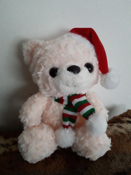 Buy & Sell Kent Maidstone - Photos for Christmas Bear.