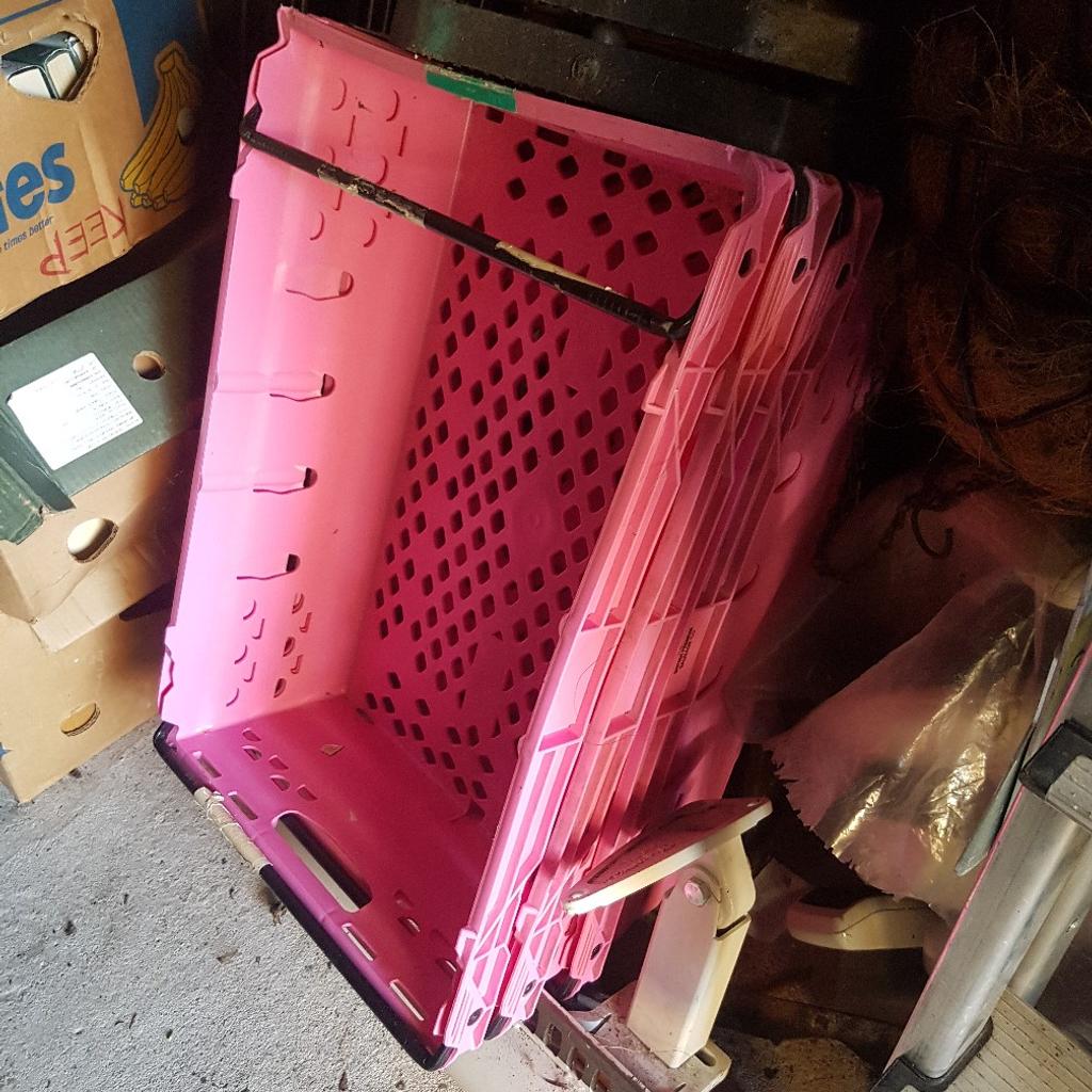 Pink crates with handles in WF2 Wakefield für £ 5,00 zum Verkauf ...