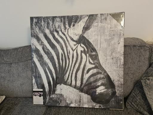 Buy & Sell Nottinghamshire Gedling - Photos for Zebra Canvas