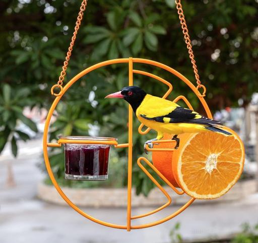 Buy & Sell Greater Manchester Rochdale - Photos for Azalon Oriole Bird Feeders for Outdoors Jelly