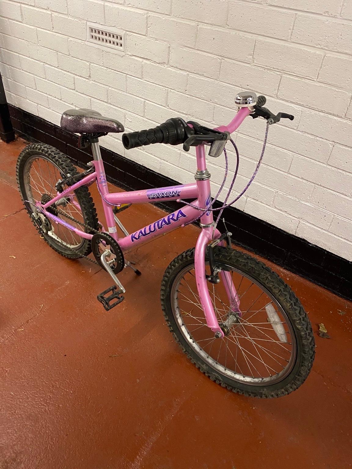 Dunlop girls outlet bike