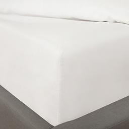 White Single Fitted sheet
Fitted Sheet Includes: 1 x Fitted Sheet
Single: 90 x 190 + 30cm

These fitted sheets have a 12 inch - 30cm Depth - ideal for a deep depth mattress.