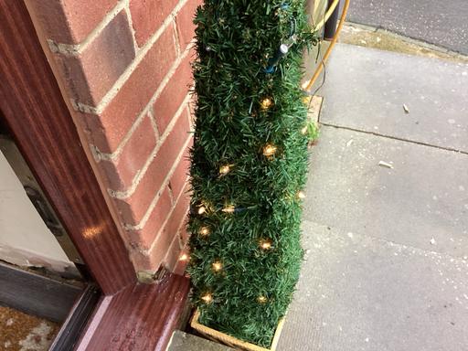 Buy & Sell Essex Maldon - Photos for Pine Xmas tree