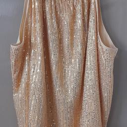 Gold sequin sparkley halter neck top. Excellent condition cash on collection please from a smoke free pet free home please see my other items.