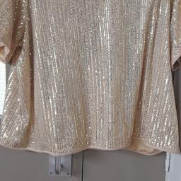 ladies champagne colour short sleeve sparkley sequin blouse size 24 excellent condition from a smoke free pet free home cash on collection please see my other items