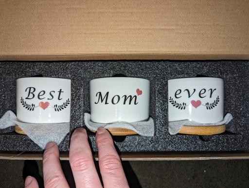 Buy & Sell South West London Norbury - South West London - Photos for best mom ever mini flower pots