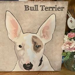 AS NEW - never mounted onto wall
This is a beautiful example of an English Bull Terrier Dog 🐕 featured on this great quality, large picture canvas. It’s nice & chunky & measures: 40x40cm sq. & 4cm deep.
White colouring with the classic eye patches. Lovely for this owner or fan 😍
See all pics. Can post for extra….