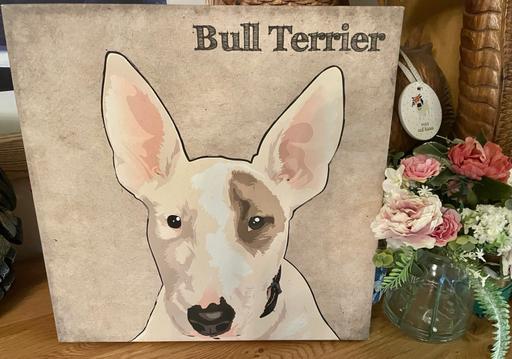 Buy & Sell Nottinghamshire Ashfield - Photos for NEW English Bull Terrier Canvas Picture