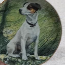 new wall plate porcelain jack Russell alert to the call by mandir haywood 22 ct rimmed plate comes with wall holder on plate to hang it up no box as new must collect walsall no post no courier walsall area smoke free home walsall