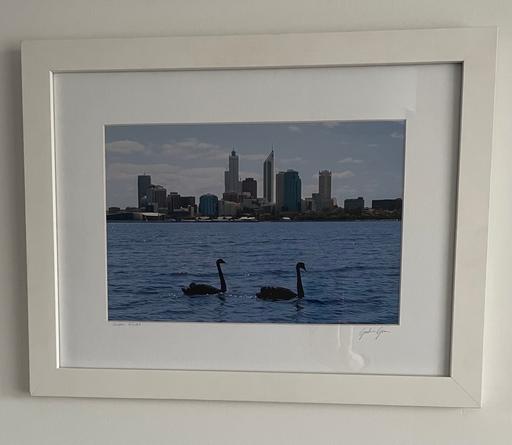 Buy & Sell Essex Thurrock - Essex - Photos for Framed Picture - Swan River, Perth, Australia