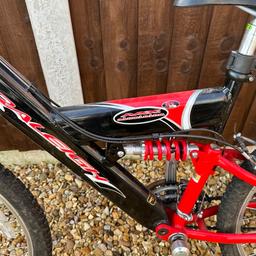 Raleigh daytona best sale mountain bike