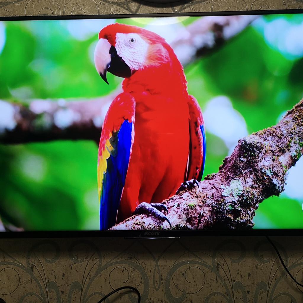 43" Sony KD43X8309CBU 4k Ultra HD 120Hz (refresh rate) Android Smart LED TV

Includes remote control, user manual and power lead may have stand

It is in very good condition only selling due to an upgrade

Very good picture and sound no issues with it

Can deliver locally at an extra cost or collection from Aspley area

Any questions please feel free to ask